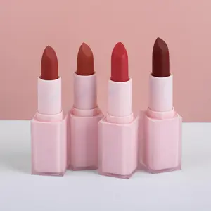 OEM Cosmetic Wholesale 14 Color Private Label Creamy Lipstick Cruelty Free Vegan Matte Lipstick With Pink Tube