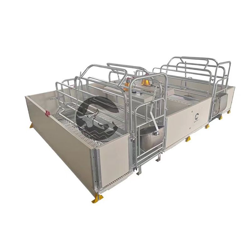 European Style Double Body Sow Farrowing