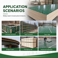 Contreplaqué vert en PP filmé 4x8 18mm, direct usine - Panneau de coffrage réutilisable pour le béton et la construction