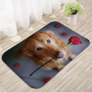 Tapis de sol rectangulaire imprimé chat, antidérapant, absorbant, pour chambre à coucher, salle de bain, décoration de la maison - Product Image 2