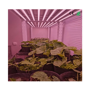 Factory OEM <b>LED</b> Grow Light Waterproof Full Spectrum for Greenhouse Plants Vegetables Fruits Plants Growth Hydroponics - Product Image 6