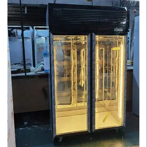 Kolice 1000L 2门展示双门冰箱牛肉肋眼和三叶干粉