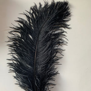 Plumas 60cm 65cm en gros Floral bricolage artisanat plume noir Femina plumes d'autruche plumes pour carnaval décor à la maison fête - Product Image 1
