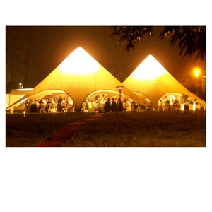 Cheap lighting star shelter canopy tents/star shaped carnival party tents for sale