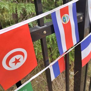 Manufacturer Country String <b>Flags</b> Banners 32 Countries Digital Printing Plastic Material Hanging/Flying Small Bunting for Sports - Product Image 3