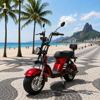 Moto électrique 1500W 60V à pneus larges, batterie 20AH au plomb-acide, freins à disque hydrauliques, amortisseurs à air, vélo électrique pour adultes