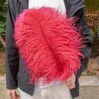 Plumes d'autruche en gros, grandes plumes roses et blanches pour centres de table de mariage, fêtes, carnaval, décoration de la maison