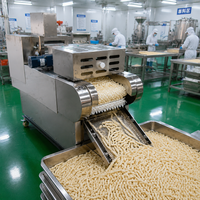 Machine automatique de fabrication de snacks de riz 1000 kg/h, ligne de production de bâtonnets de pâte frite avec matrices de découpe personnalisées, conception en acier inoxydable