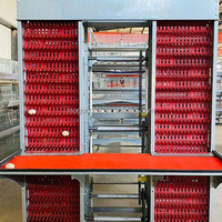 Système d'élevage de poulets à grande échelle de type H avec cage automatique en acier galvanisé pour la production d'œufs