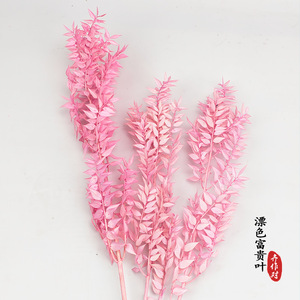 <span class=keywords><strong>Aeonium</strong></span> ดอกไม้ที่อุดมไปด้วยใบไม้แฮนด์เมดดอกไม้แห้งส่งตรงจากโรงงานตกแต่งงานแต่งงานช่อดอกไม้ข้ามพรมแดนขายดี - Product Image 2