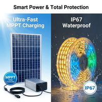 Lámpara de Fuegos Artificiales Digital KTH Personalizada, Alimentada por Energía Solar, IP66 Impermeable, para Paisajes, Carreteras, Oficinas y Uso en Exteriores