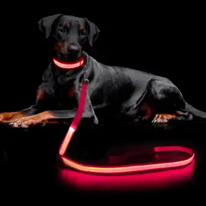 Commercio all'ingrosso Light Up Pet Led collare e guinzaglio per cani Set USB ricaricabile in Nylon fettuccia bagliore lampeggiante Led collare e guinzaglio per cani