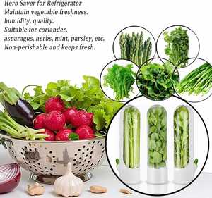 Herb Saver for Refrigerator Cilantro Container for Fridge <b>Fresh</b> Herb Keeper Herb Storage Fridge Organizer for <b>Vegetables</b> - Product Image 2