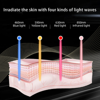 Masque LED en silicone portable à prix d'usine, 240 LED, éclairage multi-longueurs d'onde, source d'alimentation rechargeable pour usage quotidien féminin