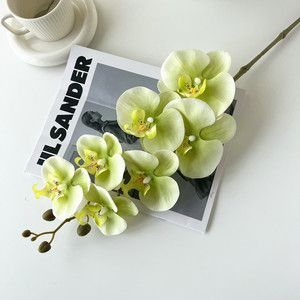 Orquídea Phalaenopsis Artificial de 7 Cabezas, Verde y Blanca, con Aspecto Realista, para Decoración de Bodas y Hogar, 10cm 30cm, Hecho en China - Product Image 2