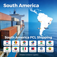 Services de Fret Maritime de la Chine vers le Venezuela et le Chili : Options FCL et LCL Professionnelles et Gamme Complète de Services DDP