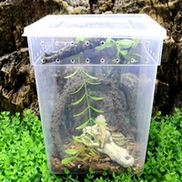 Boîte en plastique transparente avec couvercle, conteneur de rangement transparent ventilé, boîte d'alimentation rectangulaire en plastique pour reptiles, lézards, serpents