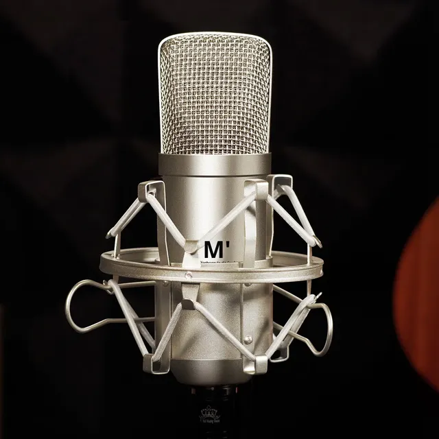 ICON AiKen Pro Audio M1 Professional Large Diaphragm Condenser Microphone for Live Streaming Recording Broadcast