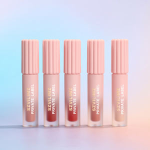 Brillant à lèvres de longue durée Private Label Maquillage végétalien Échantillon gratuit Ingrédients minéraux aux herbes Tube mignon avec peu de volume - Product Image 1