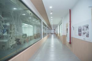 Порошок октакосанола растительного происхождения в бутылках для пищевых продуктов и функциональных напитков с энергетической поддержкой - Product Image 4