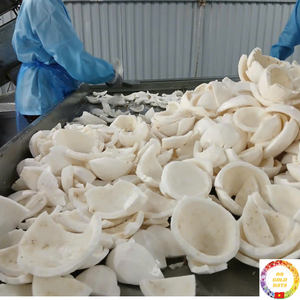 Carne de coco natural congelada de coco congelada a granel ideal para batidos de yogur helado y cocina exportación Vietnam - Product Image 1