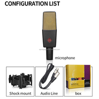 Microphone de studio standard à condensateur, microphone d'enregistrement en cristal, personnalisation OEM, commande ODM, microphone de studio