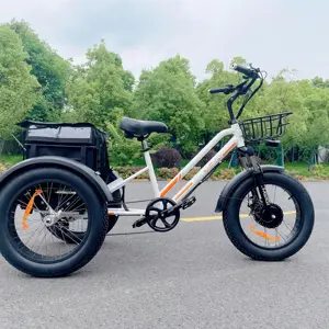MEIGI yeni Model ucuz elektrikli üç teker bisikletler yetişkinler 3 tekerlekli elektrikli kargo bisikleti üç tekerlekli bisiklet motosiklet abd stok