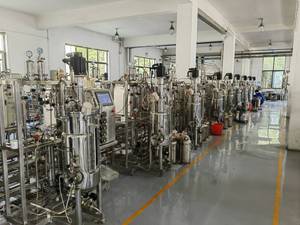 Fermentador design biorreator escala piloto fermentador de aço inoxidável agitação mecânica BLBIO-SJA - Product Image 5