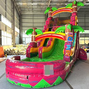 Tobogán Acuático Inflable de PVC de Grado Comercial, Color Rosa Personalizado, <span class=keywords><strong>con</strong></span> <span class=keywords><strong>Piscina</strong></span>, Castillo Hinchable y Zona de Saltos - Product Image 4