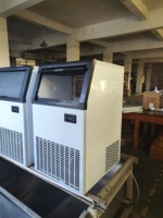 Machine à glaçons commerciale populaire, forme cube, 80-100 kg/24h, avec réservoir de 15 kg pour eau en bouteille, remplissage automatique, pour hôtel