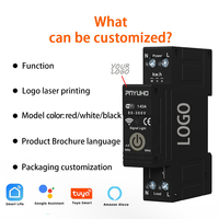Mini interrupteur intelligent 1P 63A Zigbee télécommande disjoncteur de récupération Alexa Google Home Compatible pour Smart Home Rail DIN
