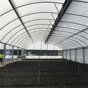 Tropical Tunnel <strong>Plastic</strong> <strong>Greenhouse</strong> With Roof Vents - Product Image 4