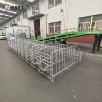 Fabricant de boxes de gestation pour truies, vente directe usine, équipement d'élevage porcin en acier galvanisé, vente en gros, export