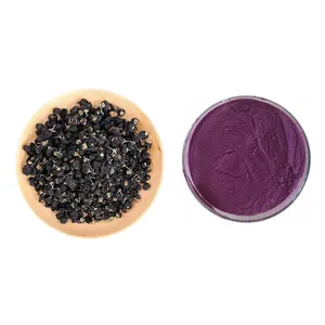 Reines natürliches 25% Anthocyan pulver Chinese Black Wolf berry Black Goji Berry Extract