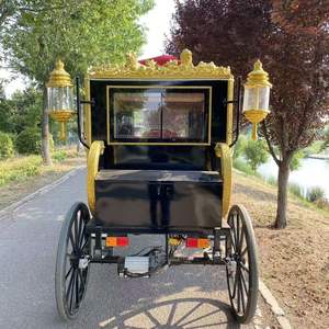 Carruaje Eléctrico de Lujo Estilo Europeo 2025 - Product Image 4