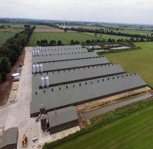 Casa de Campo Moderna Pré-fabricada em Estrutura de Aço Personalizada com Painel Sanduíche para Uso Avícola - Product Image 6