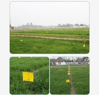Pièges à colle collante antidérapants jetables en amidon de maïs biodégradable écologique, à forte attractivité, pour le contrôle des nuisibles en ferme et serre sur 60 jours