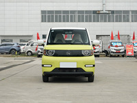 Chery Car QQ Ice Cream 2024 Youth 205km Sundae 4 places New Energy Vehicle Version Véhicule électrique Mini Nouvelle voiture