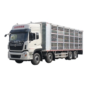<span class=keywords><strong>Camion</strong></span> Dongfeng 8x4 con Guida a Sinistra per Trasporto Bestiame, Sistema di Carico Automatico per Animali, Grande Capacità, Alimentazione Diesel - Product Image 1