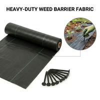 Toile de paillage tissée en PP robuste pour l'agriculture, les vergers, les jardins et les aménagements paysagers, barrière anti-mauvaises herbes stabilisée aux UV en rouleau