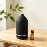 Diffuseur de parfum électrique 200 ml, diffuseur d'arômes en céramique USB, humidificateur d'air, machine à parfumer
