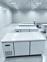 Réfrigérateur professionnel à 2 portes battantes sous comptoir, table de préparation de cuisine en acier inoxydable, congélateur, table de travail