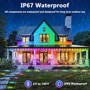 IP68 Outdoor Permanent Christmas <b>Holiday</b> Track <b>Lighting</b> 12v RGBW RGB Led Pixel Point Light 30mm Light - Product Image 4