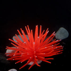 قنفذ البحر الاصطناعي المرجاني من السيليكون الناعم لتزيين أحواض السمك، تصميم ثلاثي الأبعاد عصري لغرفة المعيشة - Product Image 5