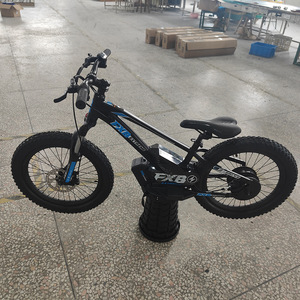 Scooter électrique pour enfants de <span class=keywords><strong>20</strong></span> <span class=keywords><strong>pouces</strong></span> 800W 5.0AH étanche lithium intégré 36V vélo d'équilibre de course électrique - Product Image 6
