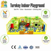 Aire de jeux intérieure de petite taille sur le thème tropical, piscine à balles, panier de basket, toboggan, mur d'escalade, palmier, CE TUV ASTM