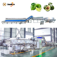 Volledig Automatische Sinaasappelverwerkingsmachine Ozonbelwasmachine Fruitborstelwasmachine Appelsorteer- en -graderingslijn