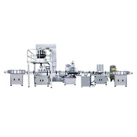 Machine de remplissage automatique de bière et de jus en état neuf pour emballages en papier/bois, 500 BPH, précision de 99,99 %, garantie 1 an