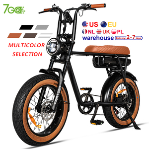 EU Warehouse 750W Mid-Drive Lithium Batterij Elektrische Multifunctionele Fiets Dubbele Vering Frame Vetband voor Volwassenen Multifunctioneel - Product Image 4