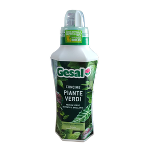 Plantas verdes 750ml Fertilizante líquido Herramienta de torneado de calidad premium - Product Image 1
